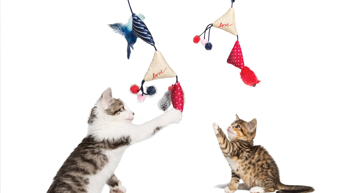 Ellen cat clearance toys