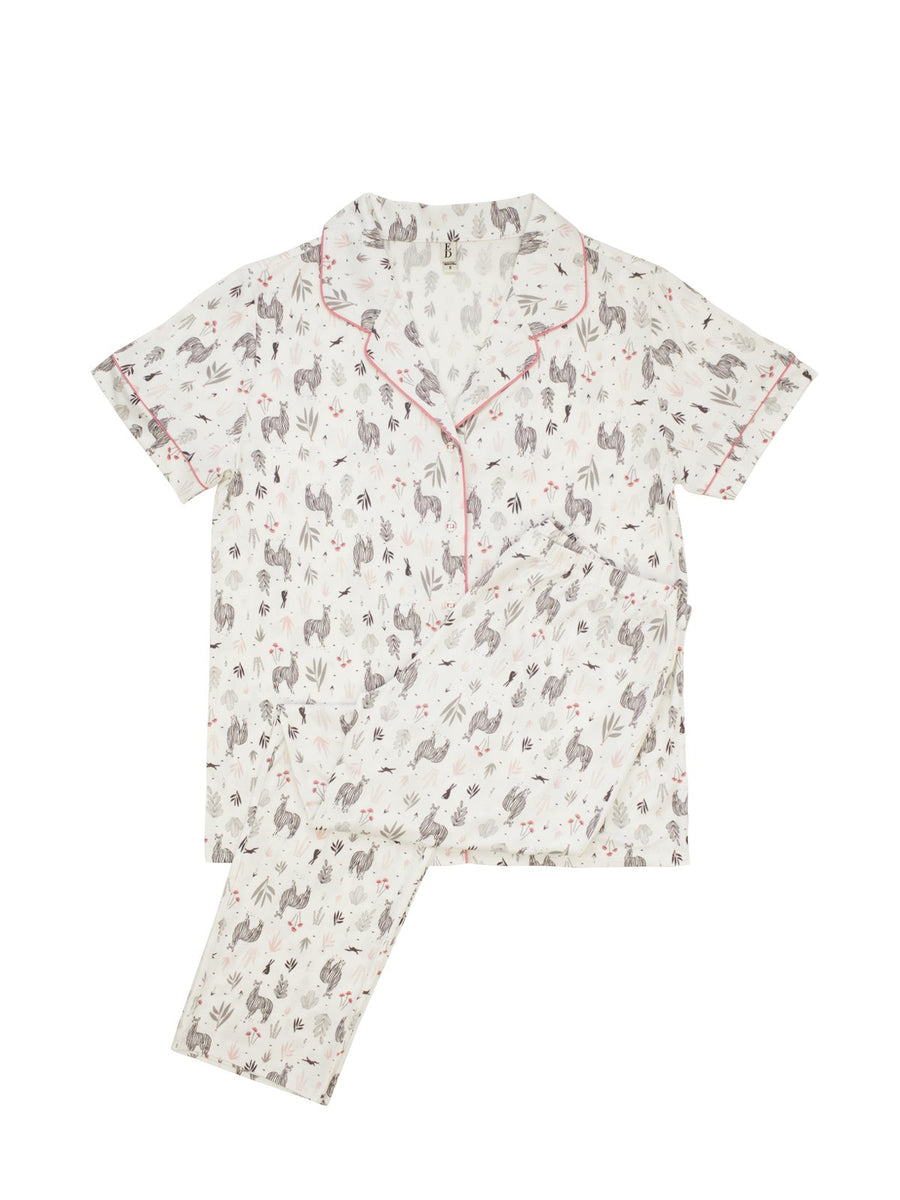 ED Ellen DeGeneres Dog Stripe Notch Collar PJ Set